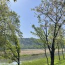 푸드모바일&푸드스팟 | 진천농다리축제, 주차 일정 프로그램정리&amp;무료 집라인체험 직접다녀와본 후기