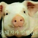 한밭카페
