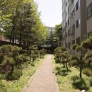 산호공인중개사사무소 이미지