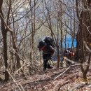 광치농장 이미지