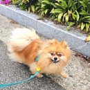 더웨스트변산리조트