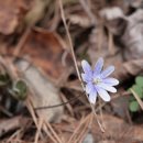 버드나무골 이미지