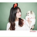 도마도(DOMADO) | 서면셀프사진관 도마도스튜디오 애견동반 추억 남기기