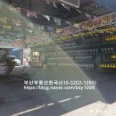 수영카센타 이미지