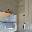 아이보리 타이거 이미지