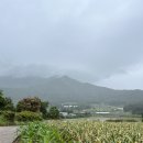 해만장