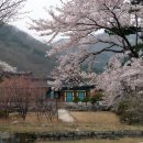 건봉사가는길 이미지