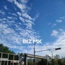 루나공인중개사사무소 이미지