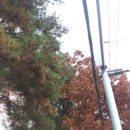 생활속의 조경이야기 이미지