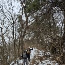 옥녀봉 Daum카페