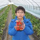 질울고래실마을 이미지