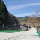 진북편백골관광농원캠핑장 이미지