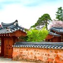 국화마을펜션 이미지