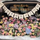 썸머리플라워 이미지