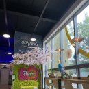 (주)세명투어
