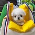 퍼피베베 (Puppybebe)