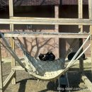 우치농장 이미지