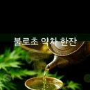 인셀덤가연