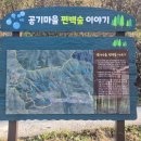 힐링 여행 이미지