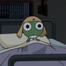 애니브리즈 | 다시는 무리한 일정 잡지 않겠다면서 또 무리한 일정을 잡아버렸습니다: 도쿄 여행 2박 3일