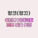 비요렛 | 랑크(랑끄) 워터팡 파데크림 피부 맞춤 보정 특징 효과 후기