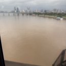 우지커피 망우점 | [일상 | 주간일기] 7월 넷째주 _ 내일의 그 내일도 알 수 없다 해도 난 나비처럼 날아가 이대로