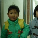 섬진다원 이미지