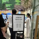 꽃들의상상놀이터 | 평창 휘닉스파크 상상놀이터 이용 후기