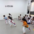 슈퍼키즈태권도 이미지
