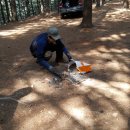 숲의하루 이미지