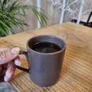 스테이550 이미지