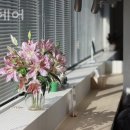 CU 대치기량점 이미지