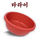 와송노래 | 20240902 DA LIE 발매기념 김홍남 재롱잔치 늦은후기