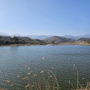 호수의오후 이미지