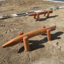 금호초등학교병설유치원 | 경북 영천 금호초등학교 자연친화 로비니아 원목 놀이터
