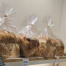 당감 | 부산 빵집 / 당감동빵집 달맞이빵 당감점 내돈내산 후기