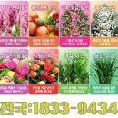 북신안장례식장 이미지