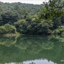 초리저수지 이미지