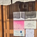 홋카이도부타동스미레 | 신촌 일본인 사장님이 계시는 홋카이도 부타동 맛집 스미레 내돈내산 솔직후기