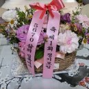 요래오래 이미지