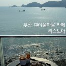 색달교차로4가 4 | 부산 흰여울문화마을 카페 오션뷰 맛집 애견동반 가능한 리스보아 메뉴 추천