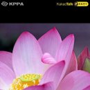 금천구청 이미지