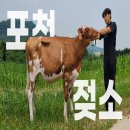덕흥축산 이미지