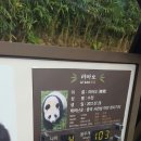 아미바오 이미지