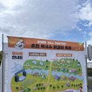 닭막 | [2025 춘천 막국수닭갈비축제] 공지천 닭막축제 현장 분위기 & 할인 꿀팁 총정리!