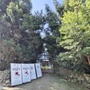 이문목장 | [제주여행] 9편. 고사리육개장부터 바다, 보롬왓까지! 아이들과 완벽했던 3일차 코스 🌿