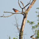 낙동강변14 이미지