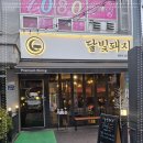 달빛돼지