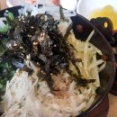 국수나무 이미지