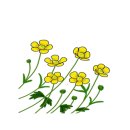 사림동290 이미지